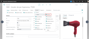 Dynamics Business Central - Fișă articol - Acces Variante