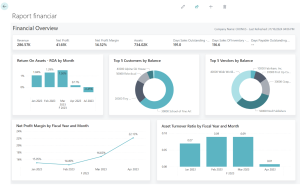 Dynamics Business Central - Power BI - Raport Financiar